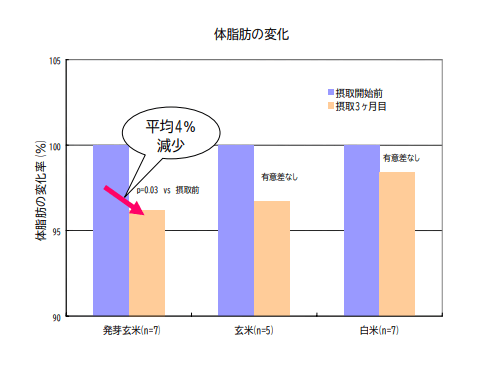 食べ続けた結果②：体重が一定で安定している